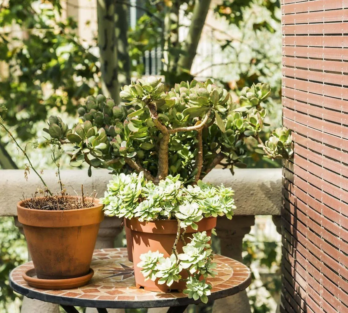 La Casa Gran B&B Barcelona Bed & Breakfast